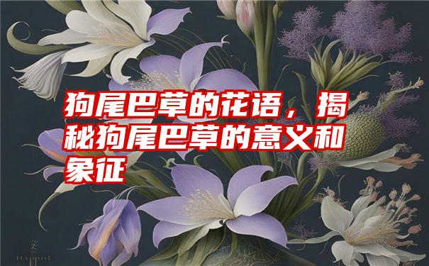 狗尾巴草的花语，揭秘狗尾巴草的意义和象征