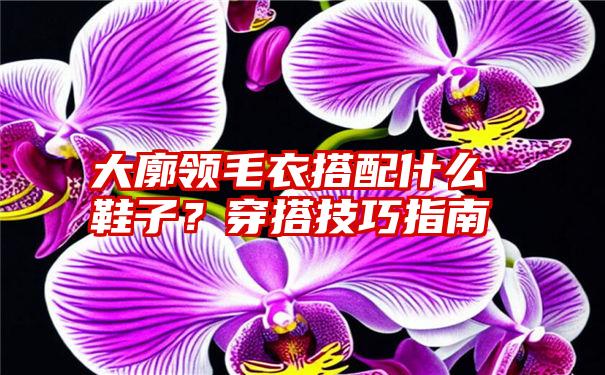 大廓领毛衣搭配什么鞋子？穿搭技巧指南