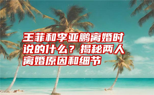 王菲和李亚鹏离婚时说的什么？揭秘两人离婚原因和细节