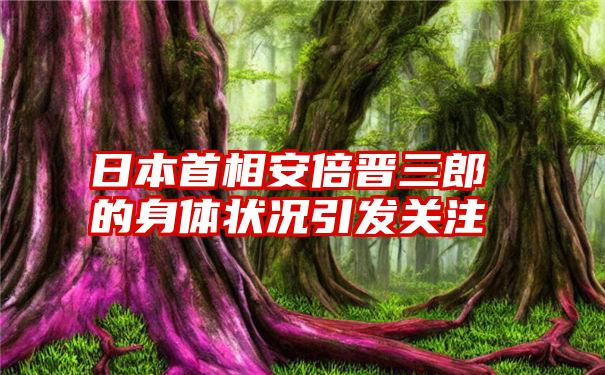 日本首相安倍晋三郎的身体状况引发关注