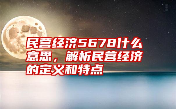 民营经济5678什么意思，解析民营经济的定义和特点