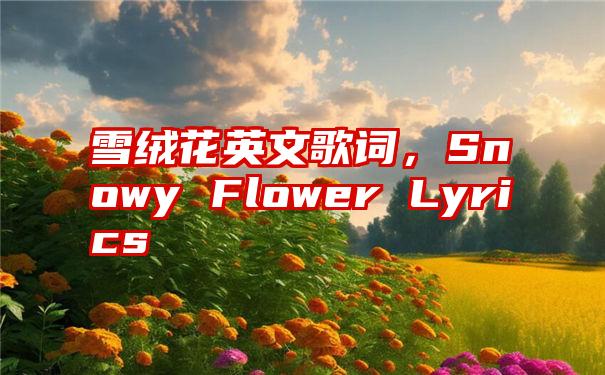 雪绒花英文歌词，Snowy Flower Lyrics