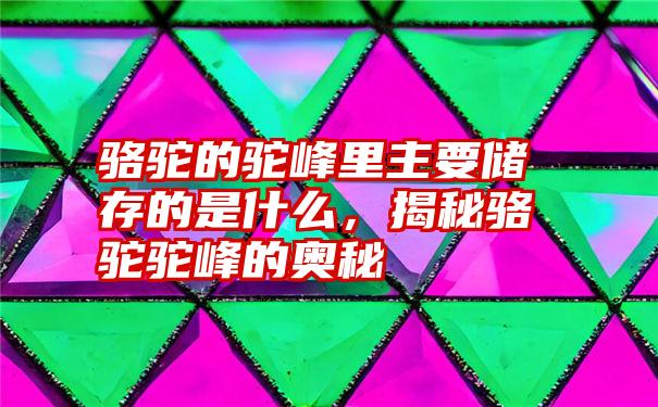 骆驼的驼峰里主要储存的是什么，揭秘骆驼驼峰的奥秘