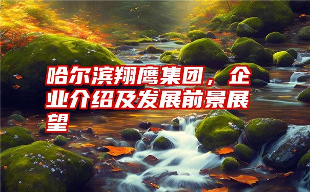 哈尔滨翔鹰集团，企业介绍及发展前景展望