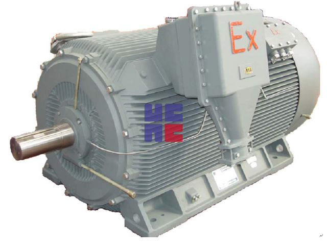 T（B）YCPX系列高效率（隔爆型）高压变频调速永磁式三相同步电动机（H355～H560）